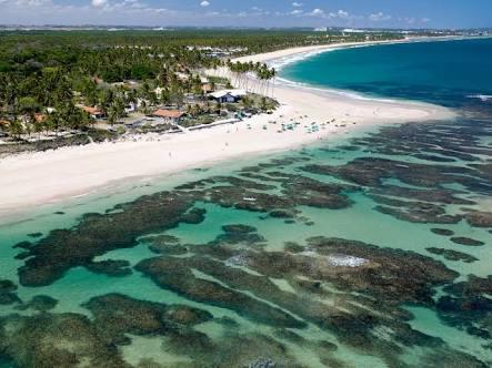 Palm Village - O Melhor De Cupe E Porto Porto de Galinhas Ngoại thất bức ảnh