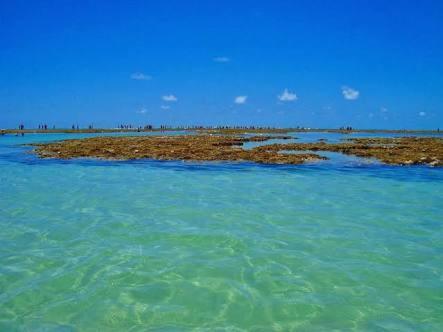 Palm Village - O Melhor De Cupe E Porto Porto de Galinhas Ngoại thất bức ảnh